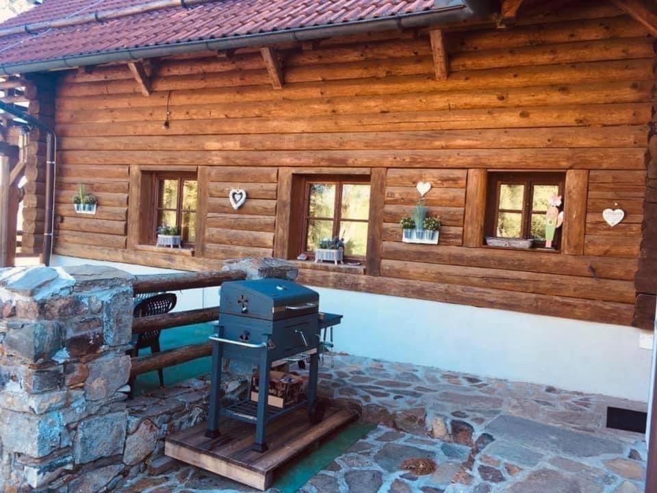 Apartmany Srub Jenisov Horni Plana Exterior photo