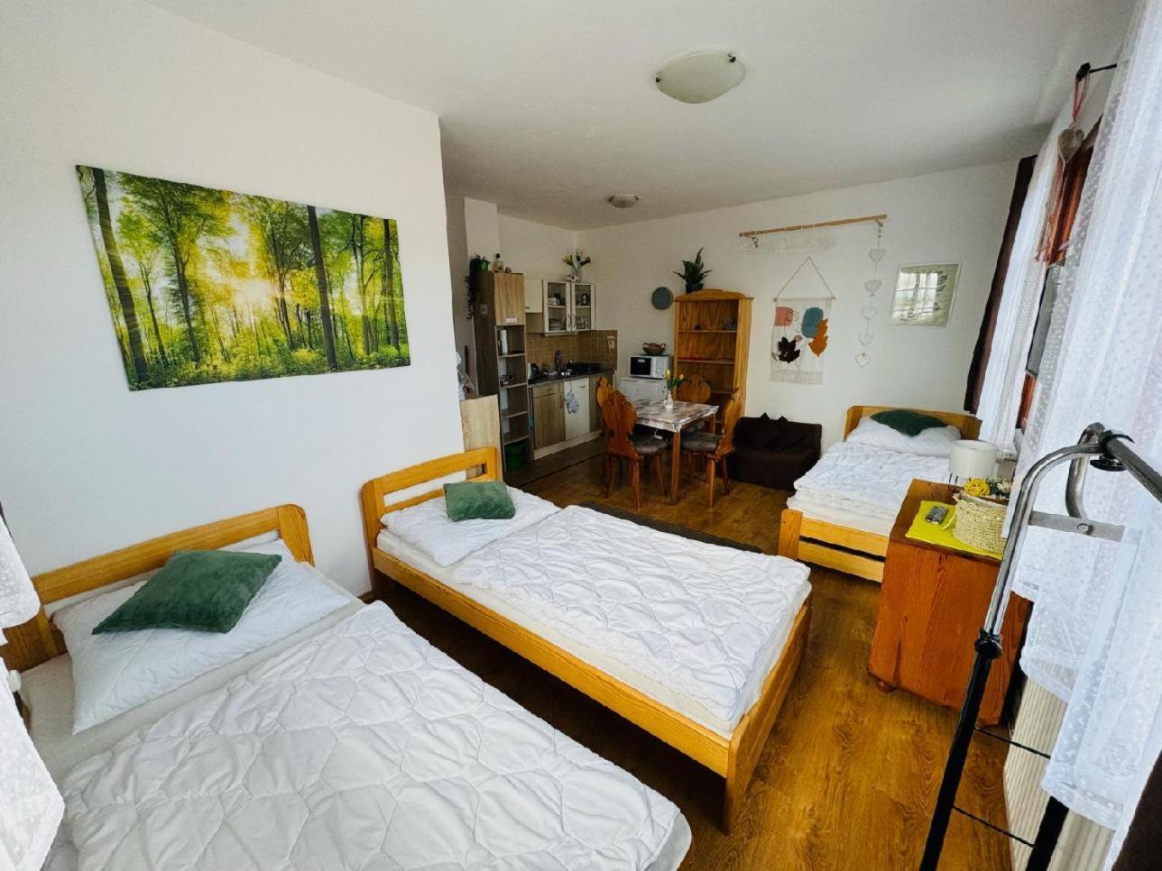 Apartmany Srub Jenisov Horni Plana Exterior photo